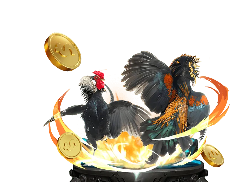 Tin tức cộng đồng người chơi hz88